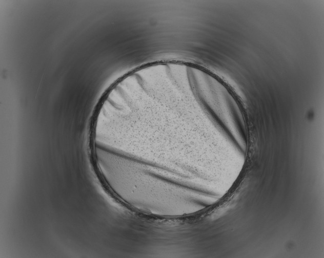 X0000094170991200711241526