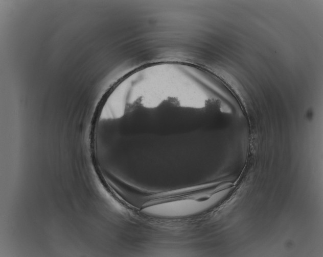 X0000094170995200711241526