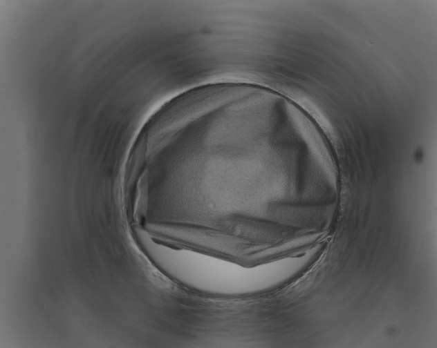 X0000094170996200711241526