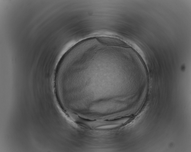 X0000094170997200711241526