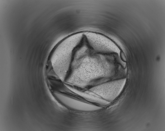 X0000094170999200711241526