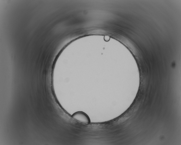 X0000094171000200711241526