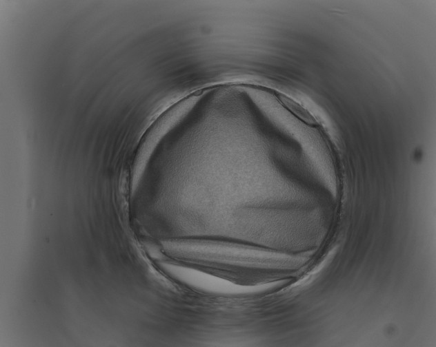 X0000094171001200711241526