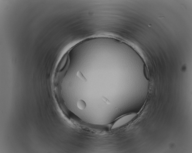 X0000094171003200711241526