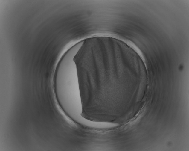 X0000094171005200711241526