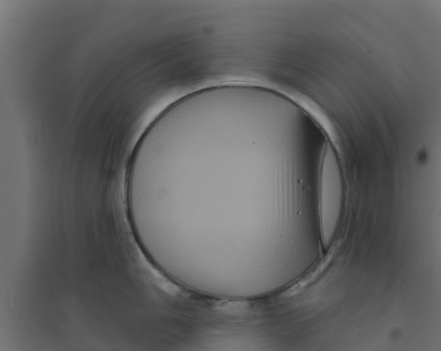 X0000094171006200711241526