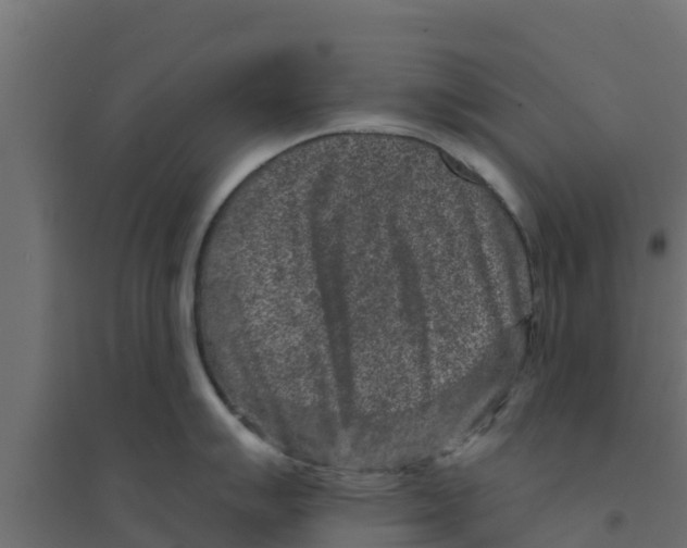 X0000094171007200711241526