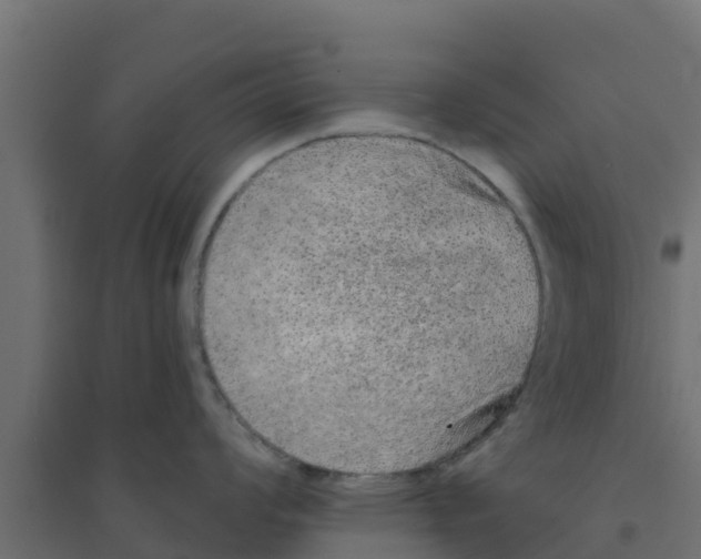 X0000094171008200711241526