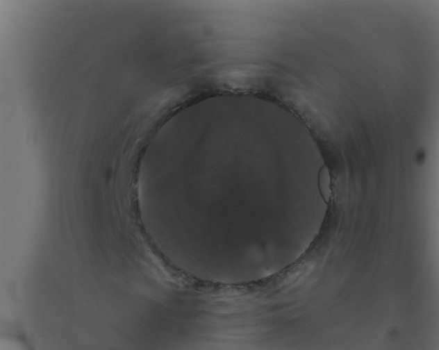 X0000094171009200711241525