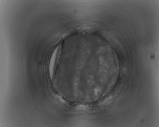X0000094171010200711241525