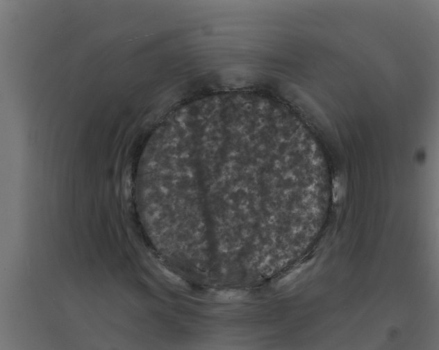 X0000094171011200711241525
