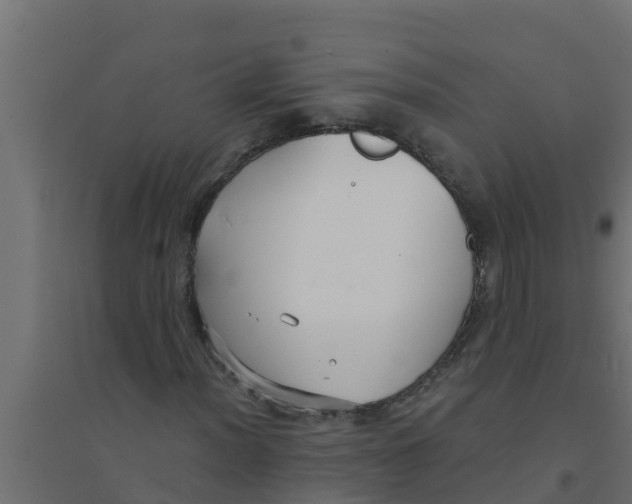 X0000094171012200711241525
