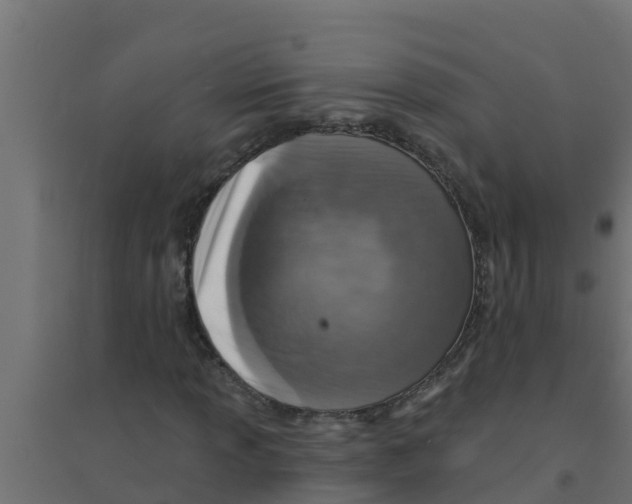 X0000094171013200711241525