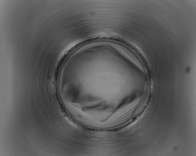 X0000094171018200711241525