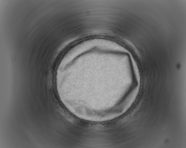 X0000094171019200711241525