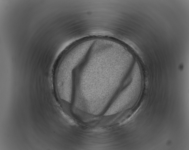 X0000094171022200711241525