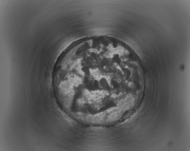 X0000094171023200711241525
