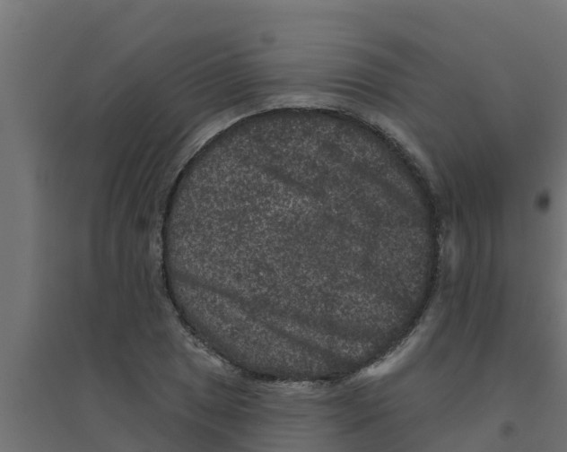 X0000094171025200711241525