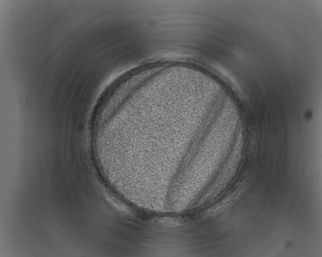 X0000094171027200711241526