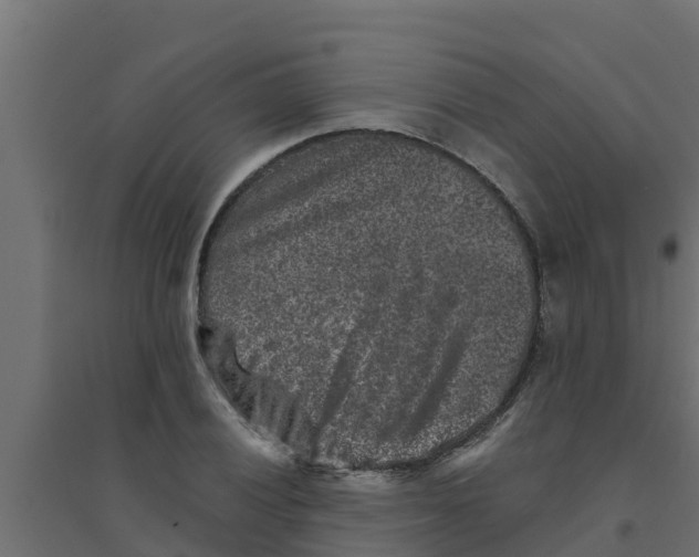 X0000094171028200711241526