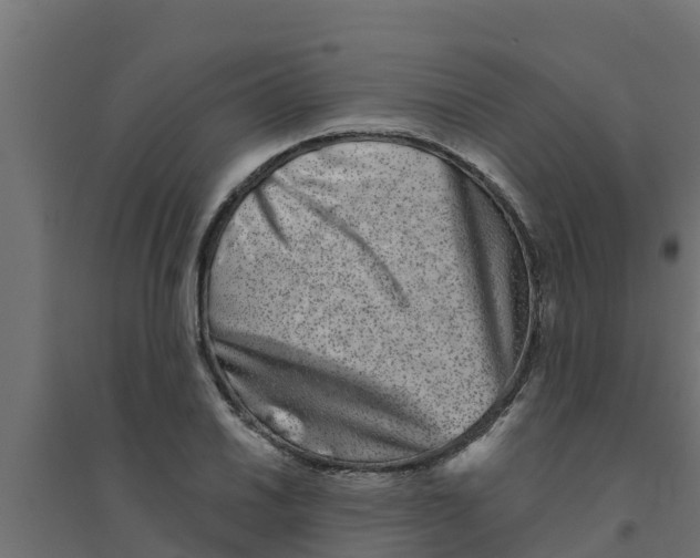 X0000094171030200711241526