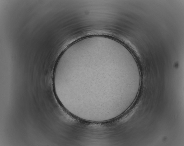 X0000094171033200711241526