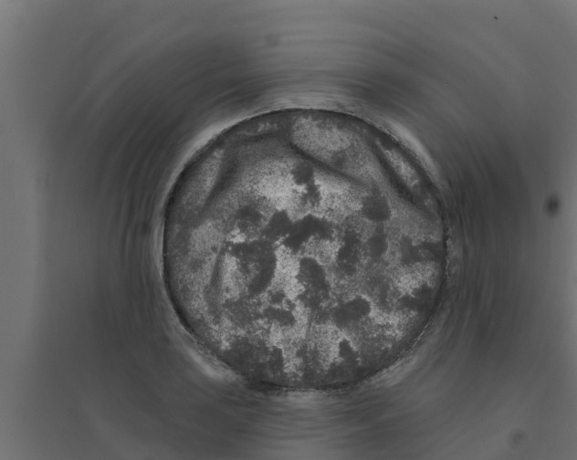 X0000094171035200711241526