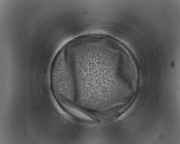 X0000094171038200711241526