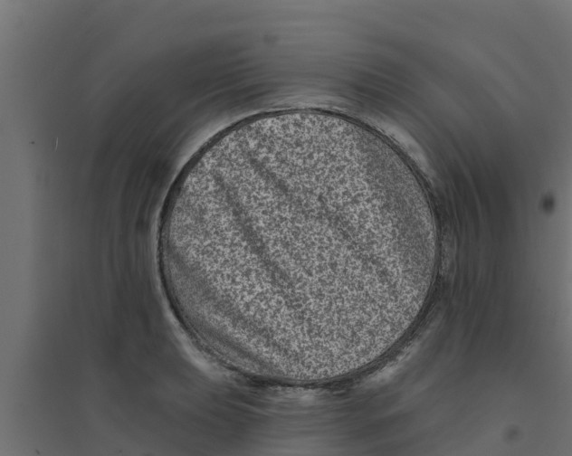 X0000094171039200711241526