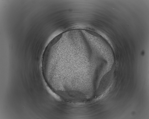 X0000094171042200711241526