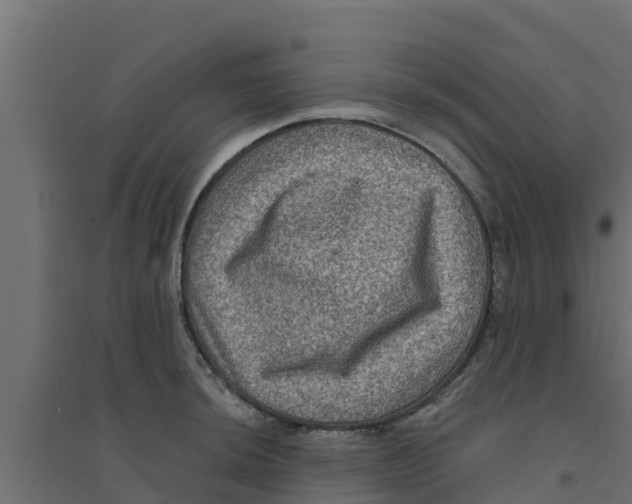 X0000094171044200711241526