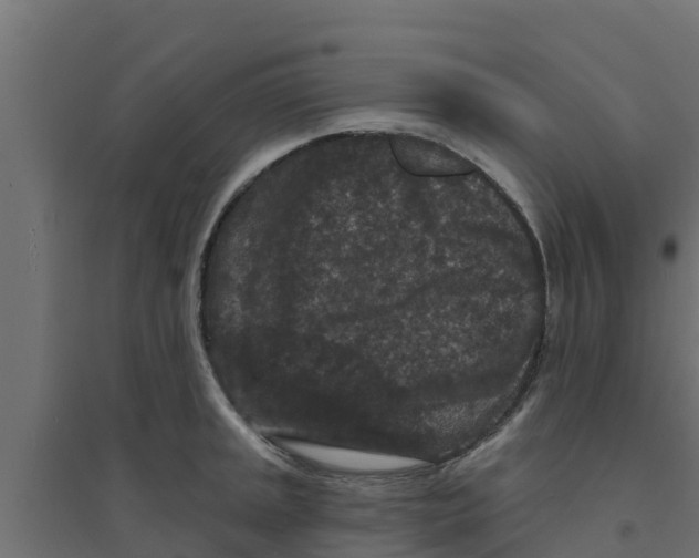 X0000094171045200711241526