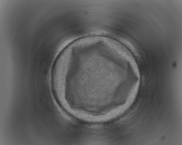 X0000094171047200711241526