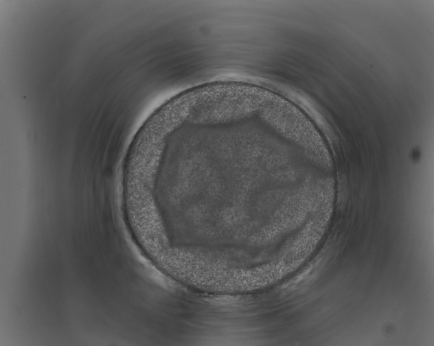 X0000094171048200711241526