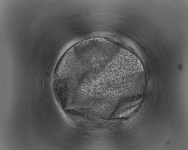 X0000094171050200711241526