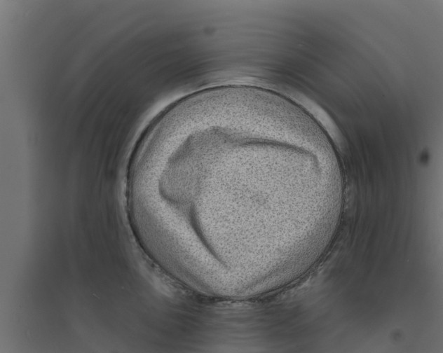X0000094171051200711241526