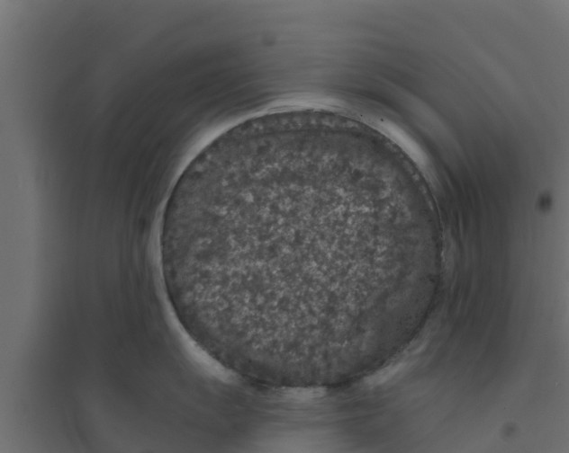 X0000094171055200711241526