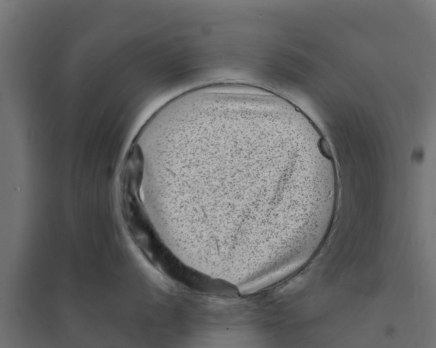 X0000094171056200711241526