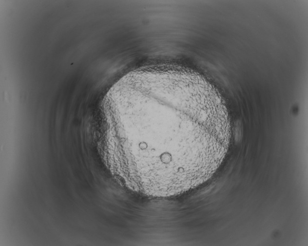 X0000094171059200711241525