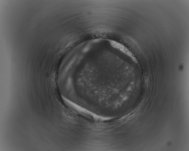X0000094171060200711241525