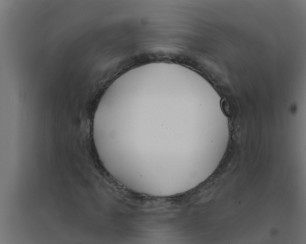 X0000094171061200711241525