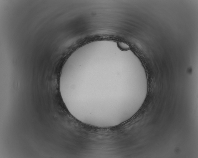 X0000094171062200711241525