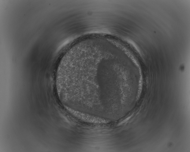 X0000094171064200711241525