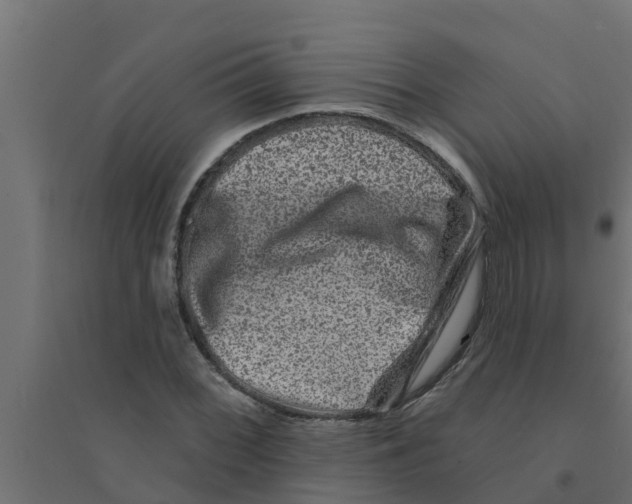 X0000094171068200711241525