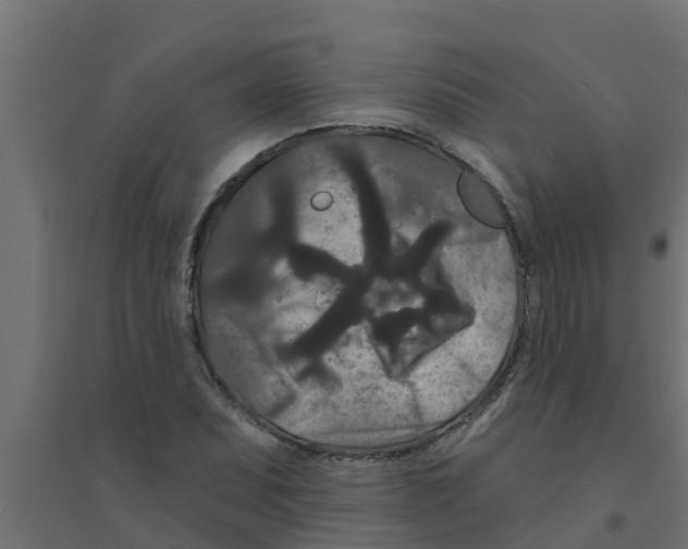 X0000094171071200711241525