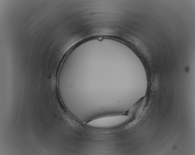 X0000094171073200711241525