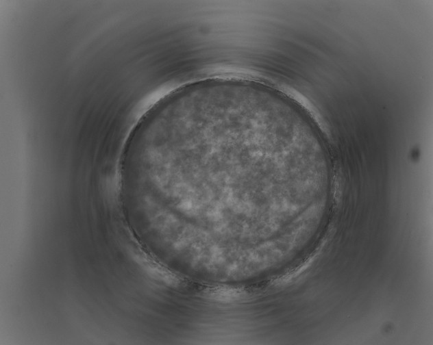 X0000094171074200711241525