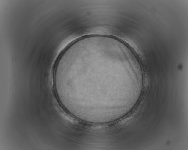 X0000094171078200711241525