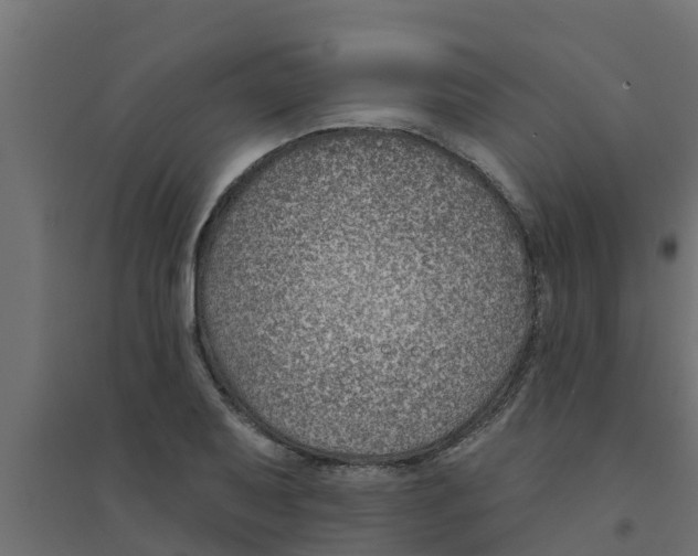 X0000094171079200711241525