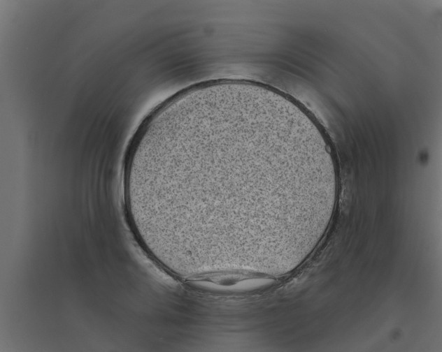 X0000094171080200711241525